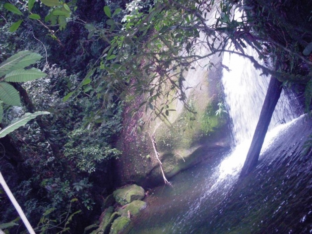 Bertioga, cachoeira dos Três Poços<br />Foto Denise Fernandes Geribello, mar. 2003 
