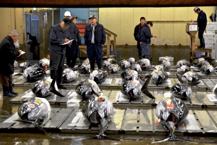 Mercado de peixe Tsukiji, leilão, Tóquio<br />Foto Roberto Abramovich 