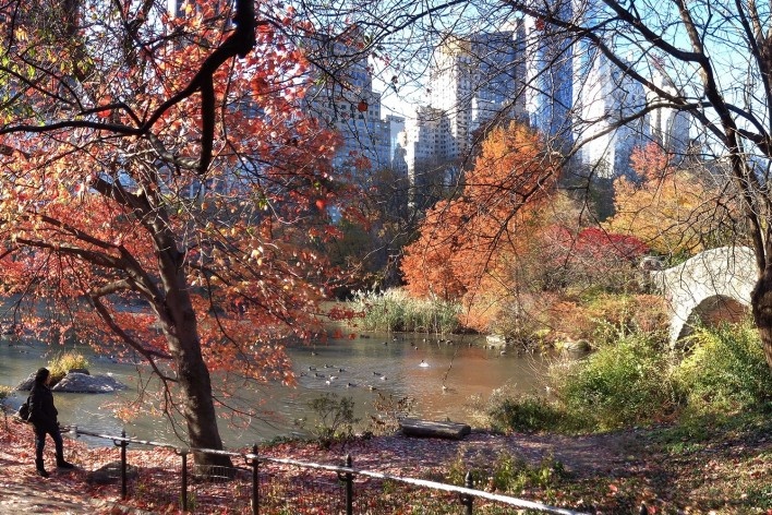 Alexandrina Mori no Central Park, Nova York, Estados Unidos, 2014<br />Foto Victor Hugo Mori 
