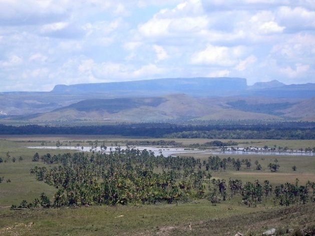 Região da fronteira entre Brasil e Venezuela: topografia e vegetação nas bordas da Amazônia
