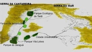 O sistema fazendo diálogo com a estrutura de parques existente<br />Imagem do autor do projeto 