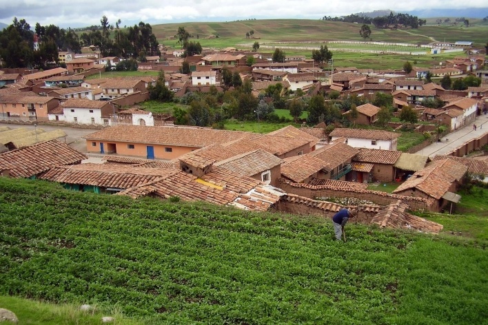 Chinchero, cultivo de batatas<br />Foto Saide Kahtouni 