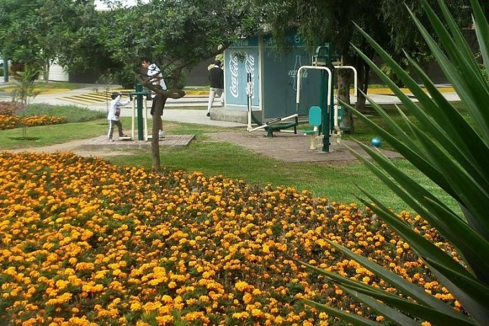 Jardins tranquilos, floridos e bem cuidados estão por toda parte em San Borja<br />Foto Dan Moche Schneider 