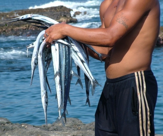 Pescador em Santo Antão<br />Foto Paula Janvotich 