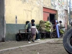 Catadores de lixo para reciclagem<br />Imagem do autor do projeto 