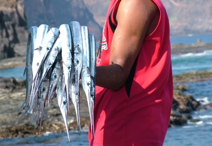 Pescador em Santo Antão<br />Foto Paula Janovitch 