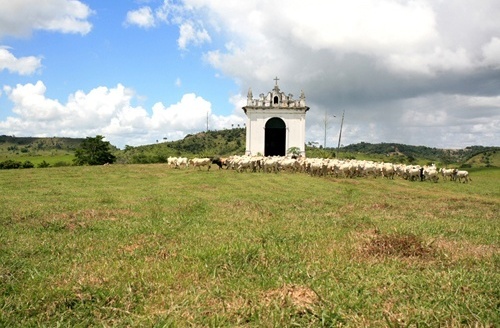 Fazenda do Carmo, Bahia<br />Foto Tuca Reinés 