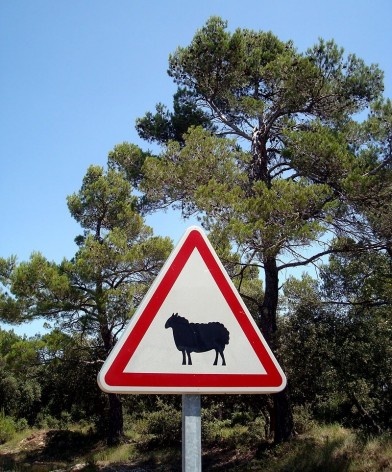 Placa em Aix-en-Provence, França<br />Foto Michel Gorski 