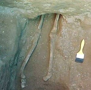 Vestígios ósseos das primeiras descobertas