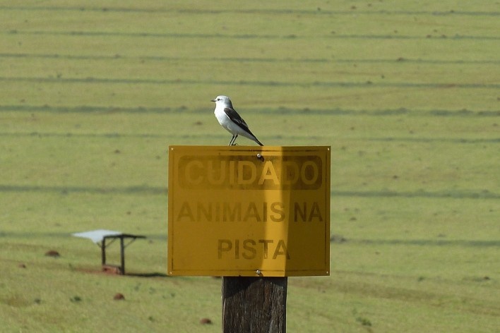Placa na região rural de São Sebastião do Paraíso<br />Foto Michel Gorski 
