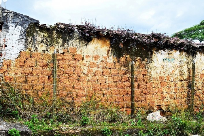 Muro de adobe retelhado e sem reboco, Diamantina MG, 2014<br />Foto Elio Moroni Filho 