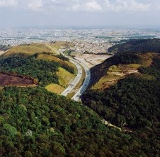 Uma nova luz sobre o polêmico Código Florestal brasileiro