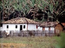 A casa em Campo Grande: Mato Grosso do Sul, 1950-2000 – parte 1 (1)