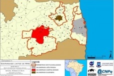 Regionalização no Brasil a partir da experiência paulista