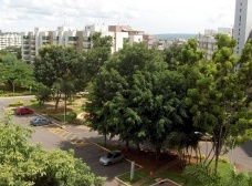 "Próteses" urbanas em Brasília