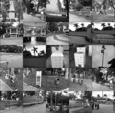 0e88132a397a_leme_frames.jpg