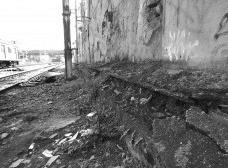 27c0388c0e85_favero_estranho01.jpg