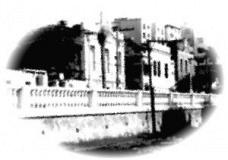 4996_393-01.jpg