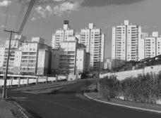9017e491a868_dpedro_13.jpg