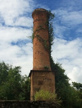 Nas ruínas da Fazenda Ipanema