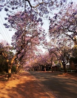 África do Sul, patrimônio moderno e regeneração urbana