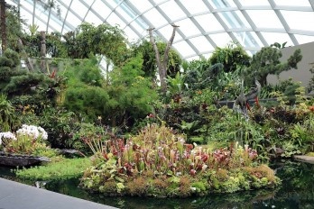 Flower Dome e Cloud Forest