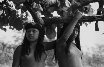 Revisitando o Xingu através de imagens