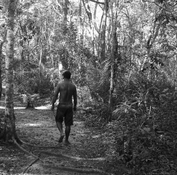 Casas e aldeias guaranis em Aracruz, Espírito Santo