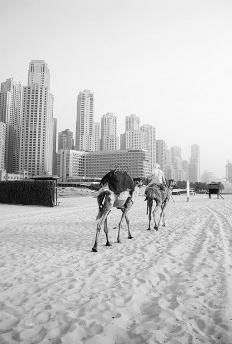 Dubai, a terra do Sheik