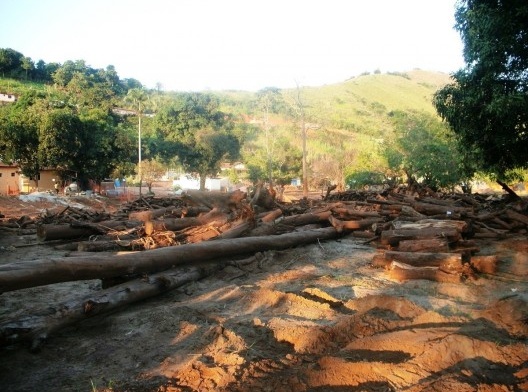 Troncos de árvores arrastados pela lama<br />Foto Camilla Magalhães Carneiro 