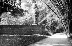 Fig. 6: Muros da antiga unidade da Casa da Pólvora [Acervo Museológico do  do Jardim Botânico do RJ]