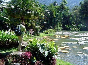Fig. 11: Vista do Lago Frei Leandro no Jardim Botânico<br />Foto Ana Rosa de Oliveira 