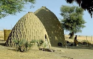 Figura 16 – Camarões. Casas em forma de cápsula [www.biologie.unihamburg.de]