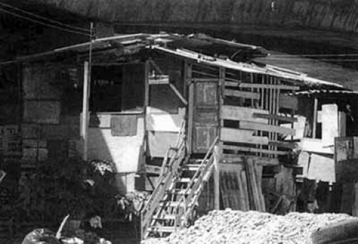 Favela recifense<br />Foto Alberto Sousa 