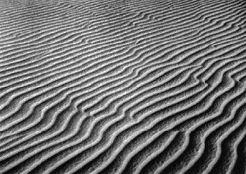 Texturas deixadas nas dunas pelo vento, Prainha CE<br />Foto divulgação 