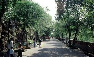 Parque Chapultepec, Ciudad de México. Alameda bordeando la cuesta rocosa