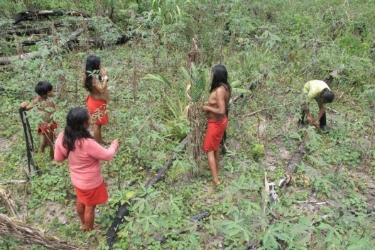 Comunidade Wajãpi, Amazônia
<br />Foto divulgação  [Instituto de Pesquisa e Formação Indígena / Programa Wajãpi]