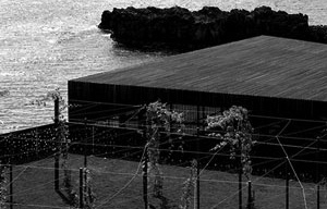 Piscinas das Salinas, Ilha da Madeira. Paulo David, 2001-2004