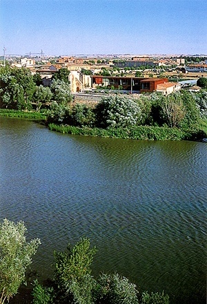 Figura 1 - Vista desde a margem do Rio Duero oposta ao Centro Hispano-Luso