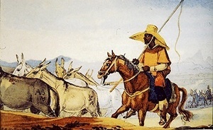 Aquarela de Debret intitulada “Escravo negro conduzindo tropas na Província do Rio Grande”.  [Jaelson Trindade, Os Tropeiros.]