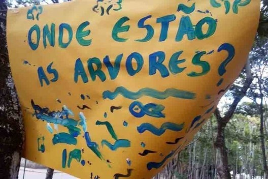 Ação de grupos de proteção ao Parque do Flamengo<br />Foto divulgação  [Acervo Sonia Rabello]
