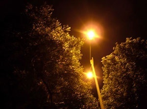 Fig.6: Problema recorrente em grande parte das cidades brasileiras, a falta de compatibilização entre a iluminação com a arborização urbana diminui a segurança no trânsito de veículos e de pedestres [http://arvorestavares.blogspot.com]