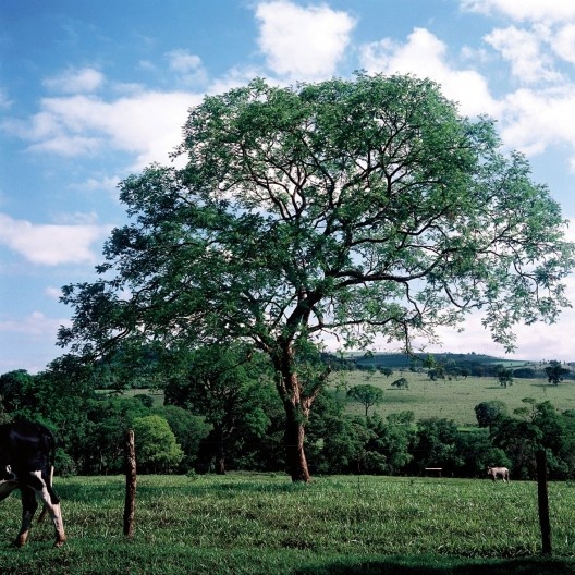 Fotografia do livro “Caminhando com Portinari”<br />Foto Alan Nielsen  [divulgação]