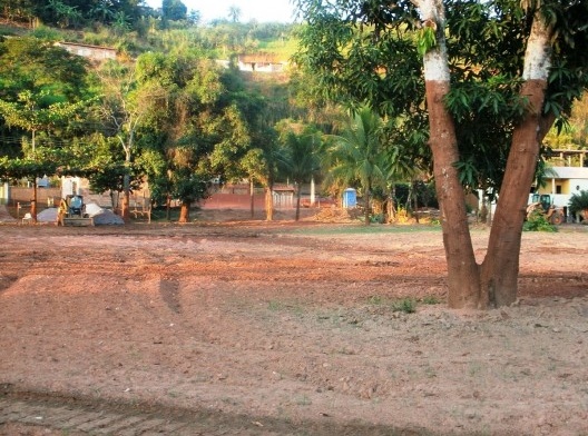 Fundos das casas atingidas pela lama; percebe-se até onde esta chegou pela marca no tronco da árvore<br />Foto Camilla Magalhães Carneiro 