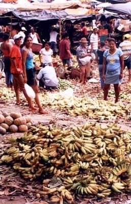 Frutas e verduras na Feira da Prata<br />Foto Mariana Dias Vieira 