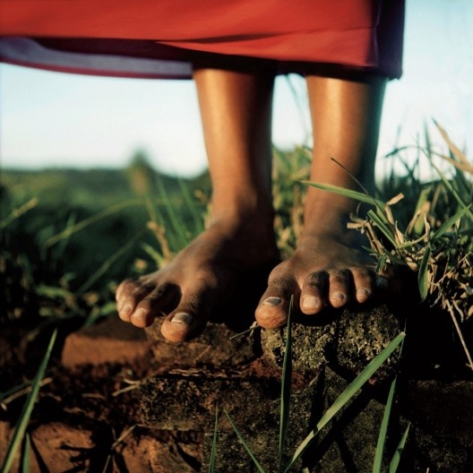 Fotografia do livro “Caminhando com Portinari”<br />Foto Alan Nielsen  [divulgação]