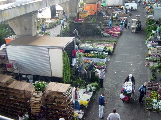 minhacidade 203.03 São Paulo: Vila Leopoldina e Ceagesp: urb