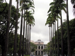 Praça da Liberdade. Alameda das palmeiras imperiais, ao fundo o Palácio da Liberdade<br />Foto Benedito Tadeu de Oliveira 