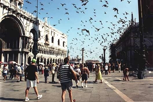 Piazza San Marco, Veneza: som da revoada dos pássaros<br />Foto P A Rheingantz 