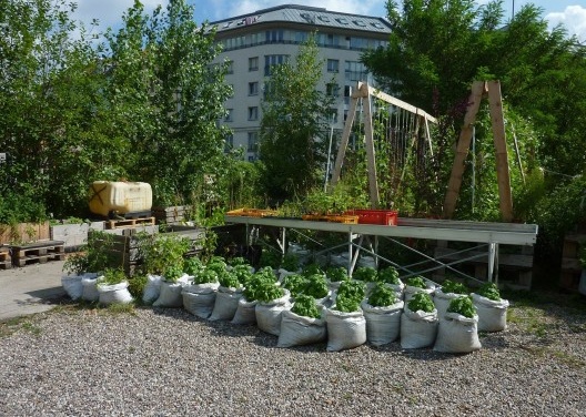 Portable vegetable garden in the Prinzessinnengarten in the heart of Berlin. <br />Foto Cecilia Herzog 